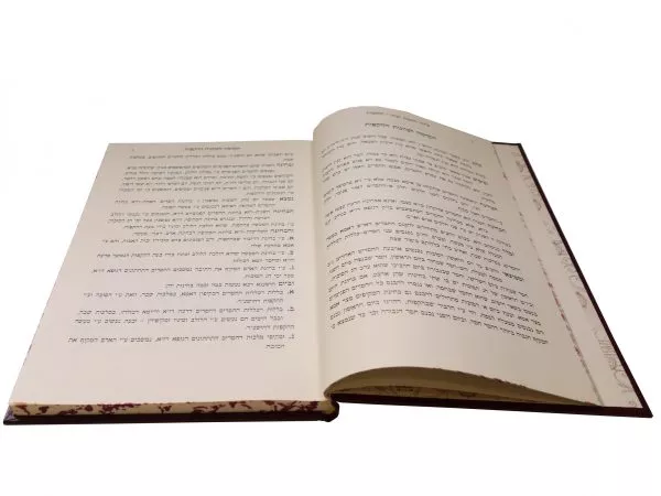⁦רחובות הנהר הקפות והושענות - סוכות⁩ – תמונה ⁦3⁩