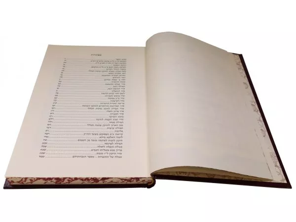 ⁦תיקוני הנפש ד'⁩ – תמונה ⁦3⁩