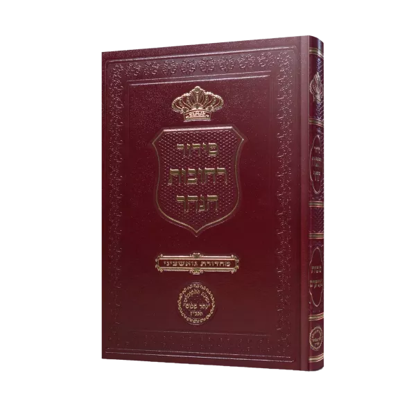 רחובות הנהר נענועים - סוכות