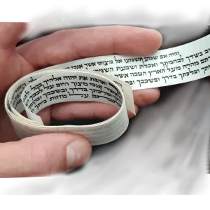 דוגמא לקלף תפילין