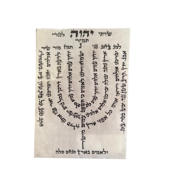 מנורה על קלף