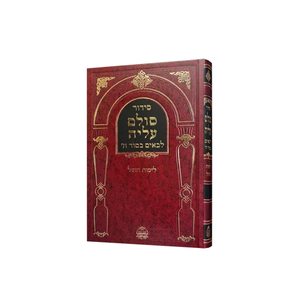 ⁦סט סולם עליה ב"כ⁩ – תמונה ⁦3⁩
