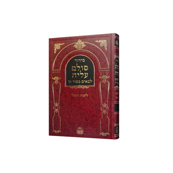 ⁦סט סולם עליה ב"כ⁩ – תמונה ⁦3⁩