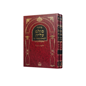 סט סולם עליה ב"כ